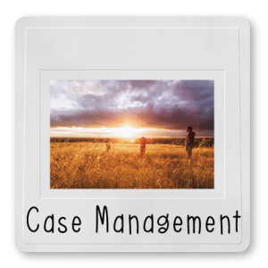 Case Management