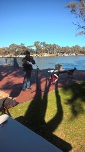 Riverland NAIDOC March and Awards Ceremony